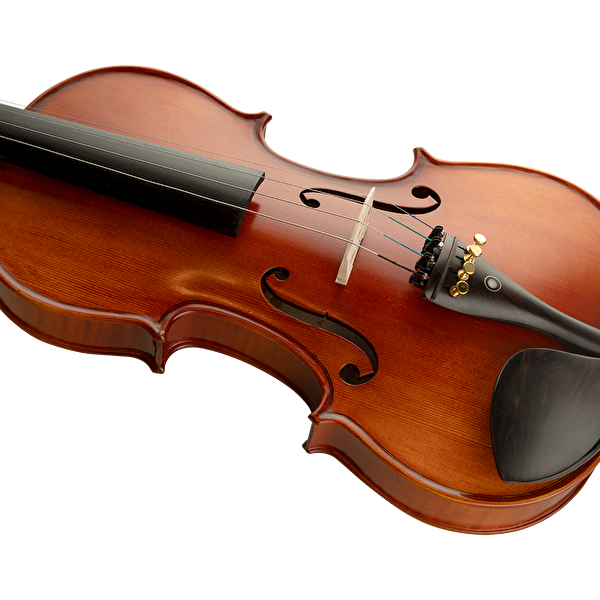 VANETTA VL-6 / 4/4 Masif Keman (Abanoz Burgu ve Aksam)